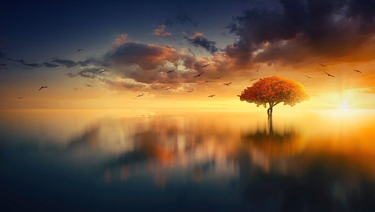A Psychoanalytic Interpretation of Consciousness